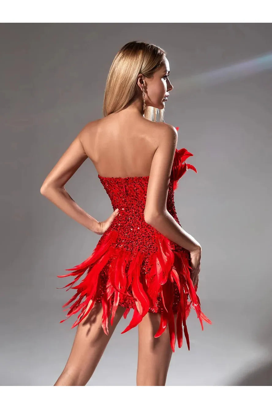 Ciara Feather Dress